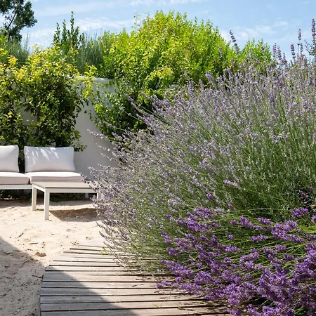 Maison Neuve A Deux Pas De La ヴィラ サント・マリー・ド・レ